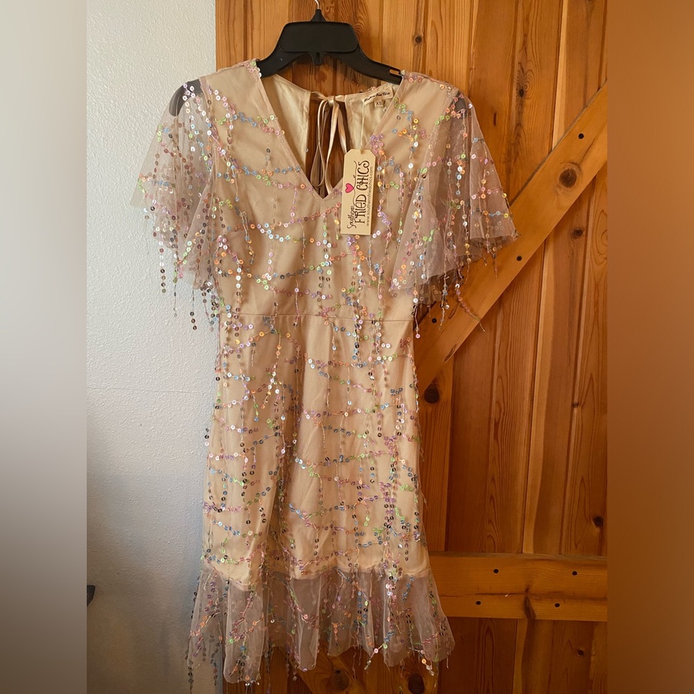 Southern fried chics sequence dress xs